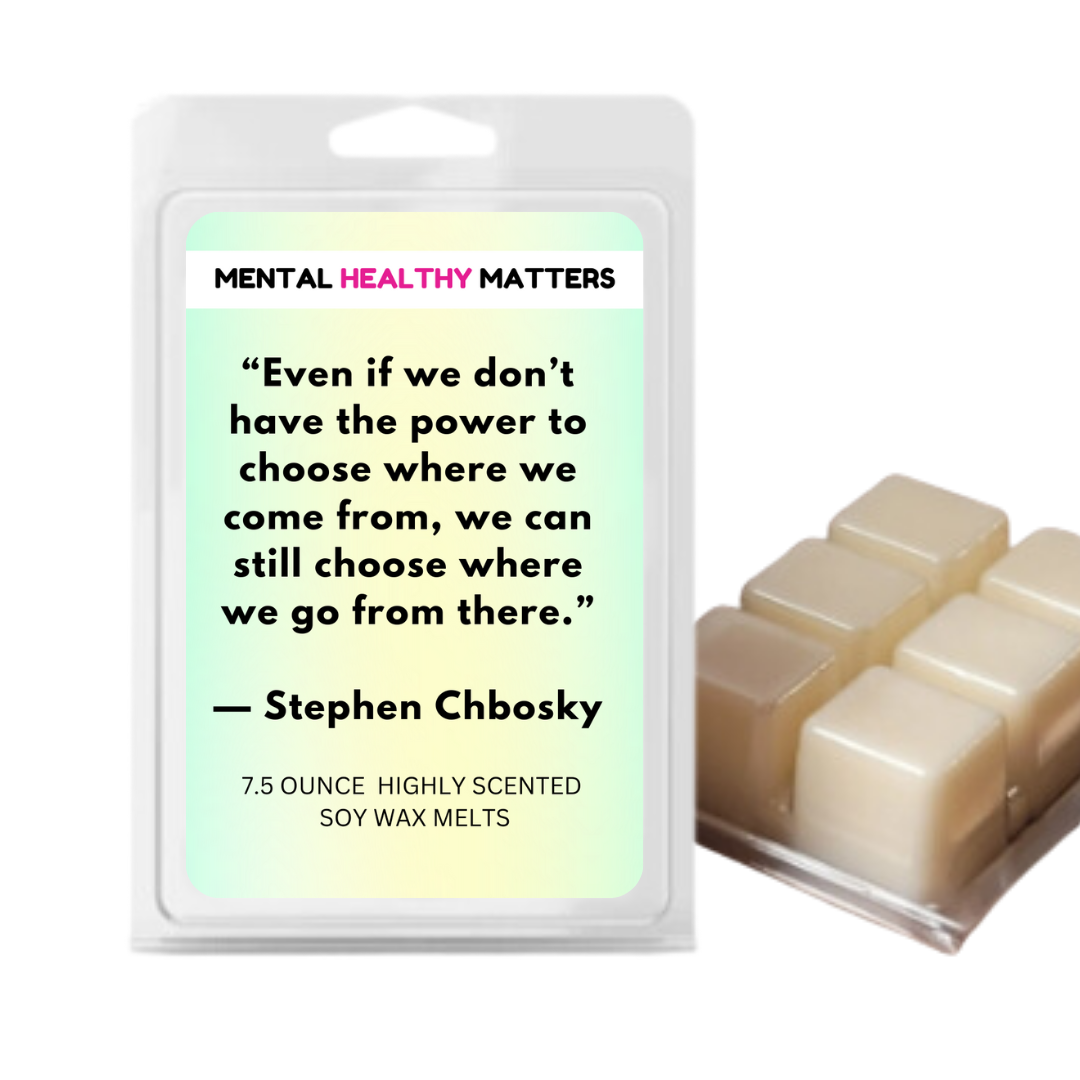 EVEN IF WE DON'T HAVE THE POWER TO CHOOSE WHERE WE COME FROM, WE CAN STILL CHOOSE WHERE WE GO FROM THERE - STEPHEN CHBOSKY | MENTAL HEALTH WAX MELTS