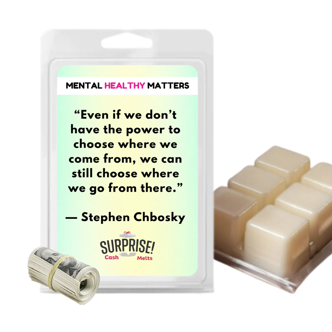 EVEN IF WE DON'T HAVE THE POWER TO CHOOSE WHERE WE COME FROM, WE CAN STILL CHOOSE WHERE WE GO FROM THERE - STEPHEN CHBOSKY | MENTAL HEALTH CASH WAX MELTS