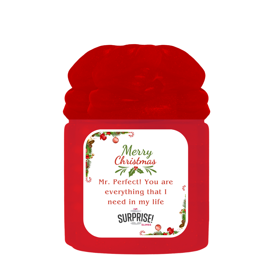 MR. PERFECT! YOU ARE EVERYTHING THAT I NEED IN MY LIFE MERRY CHRISTMAS SLIME