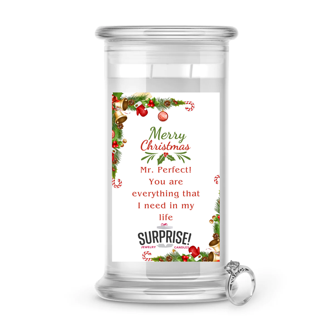MR. PERFECT! YOU ARE EVERYTHING THAT I NEED IN MY LIFE MERRY CHRISTMAS JEWELRY CANDLE