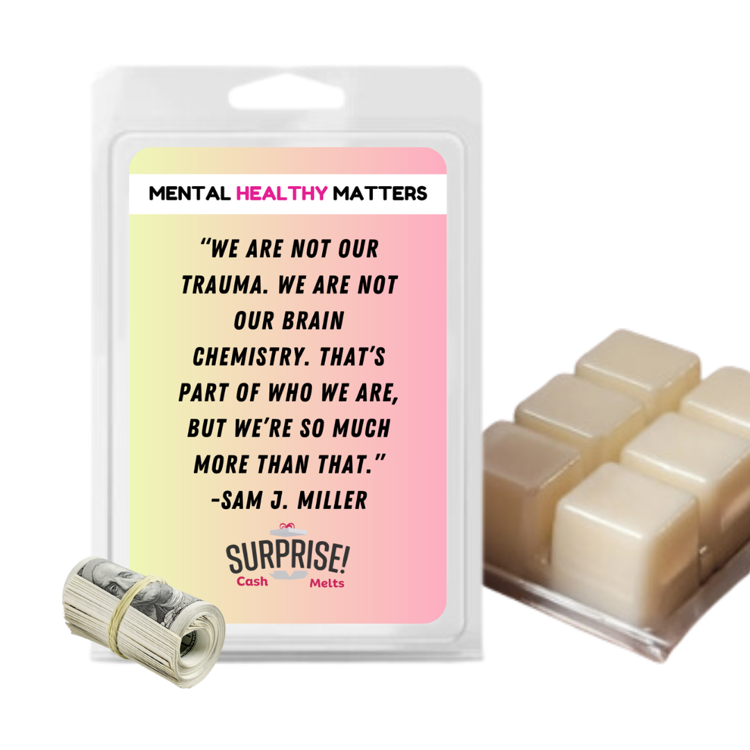 WE ARE NOT OUR TRAUMA. WE ARE NOT OUR BRAIN CHEMISTRY. THAT'S PART OF WHO WE ARE, BUT WE'RE SO MUCH MORE THAN THAT | MENTAL HEALTH CASH WAX MELTS