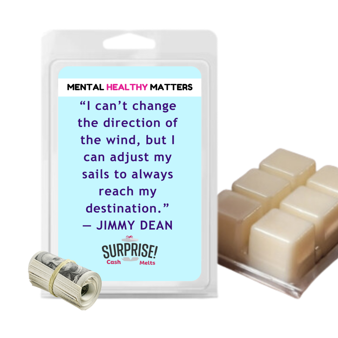 I CAN'T CHANGE THE DIRECTION OF THE WIND, BUT I CAN ADJUST MY SAILS TO ALWAYS REACH MY DESTINATION | MENTAL HEALTH CASH WAX MELTS