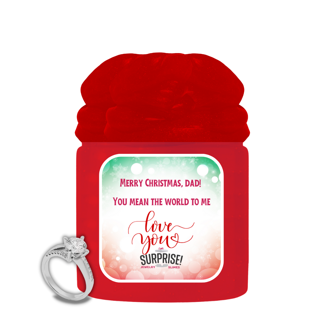 MERRY CHRISTMAS, DAD! YOU MEAN THE WORLD TO ME MERRY CHRISTMAS JEWELRY SLIME