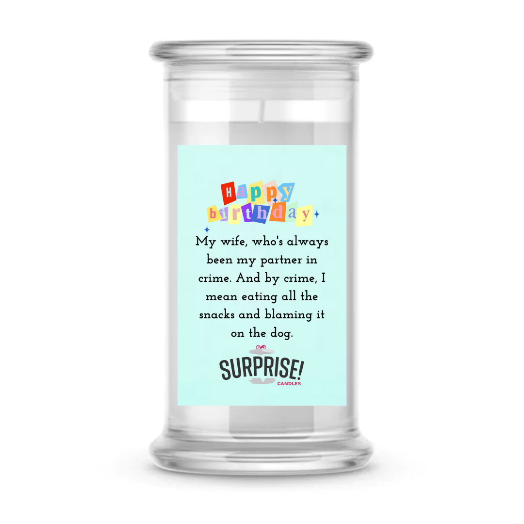 MY WIFE, WHO'S ALWAYS BEEN MY PARTNER IN CRIME, AND BY CRIME. I MEAN EATING ALL THE SNACKS AND BLAMING IT ON THE DOG. HAPPY BIRTHDAY CANDLE