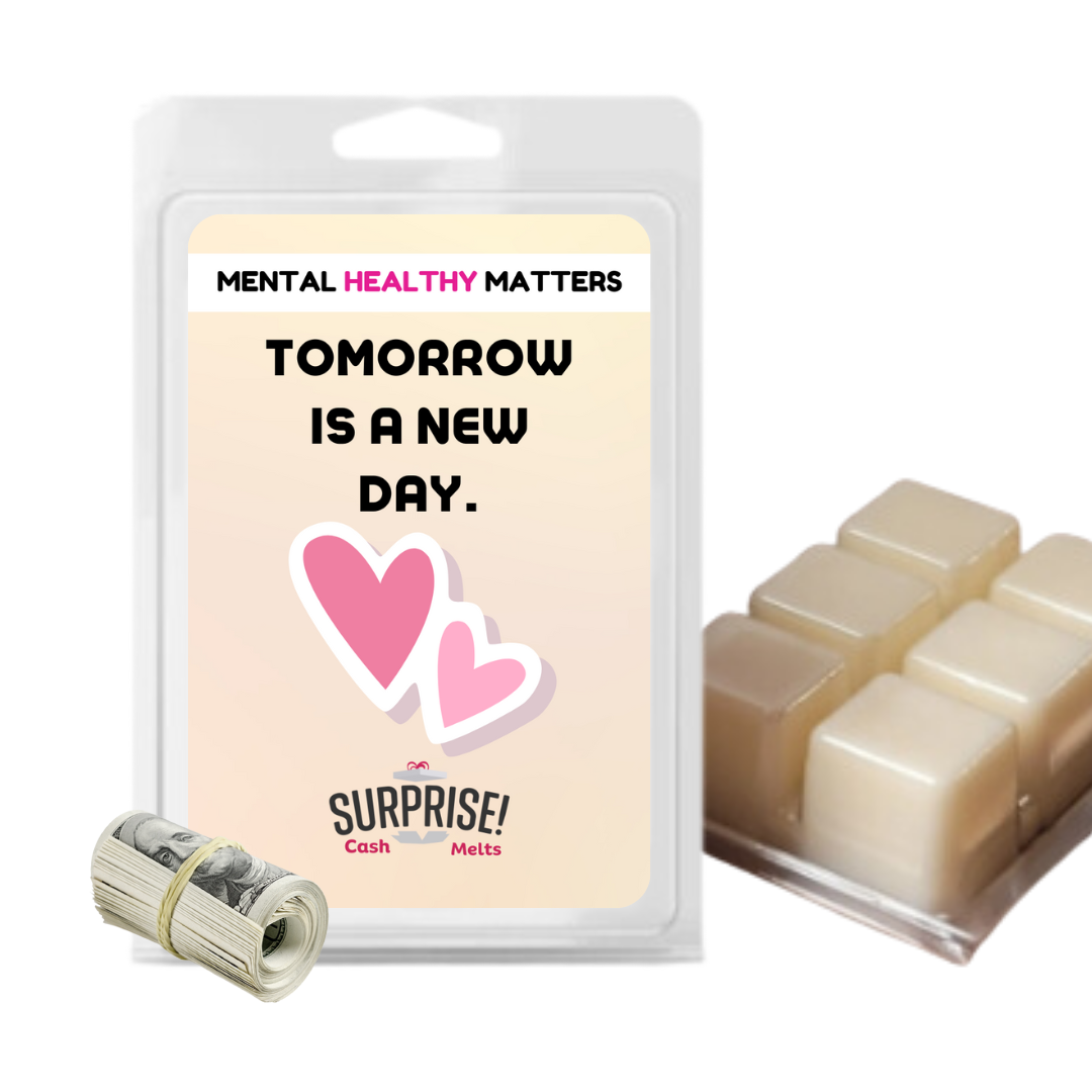 REMEMBER THAT SETBACKS ARE TEMPORARY; YOUR STRENGTH IS PERMANENT | MENTAL HEALTH CASH WAX MELTS