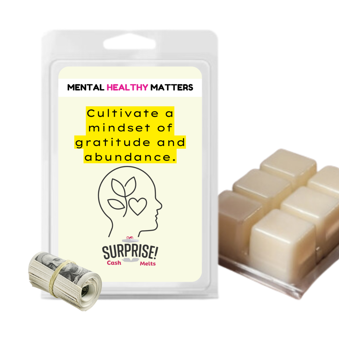 CULTIVATE A MINDSET OF GRATITUDE AND ABUNDANCE | MENTAL HEALTH CASH WAX MELTS