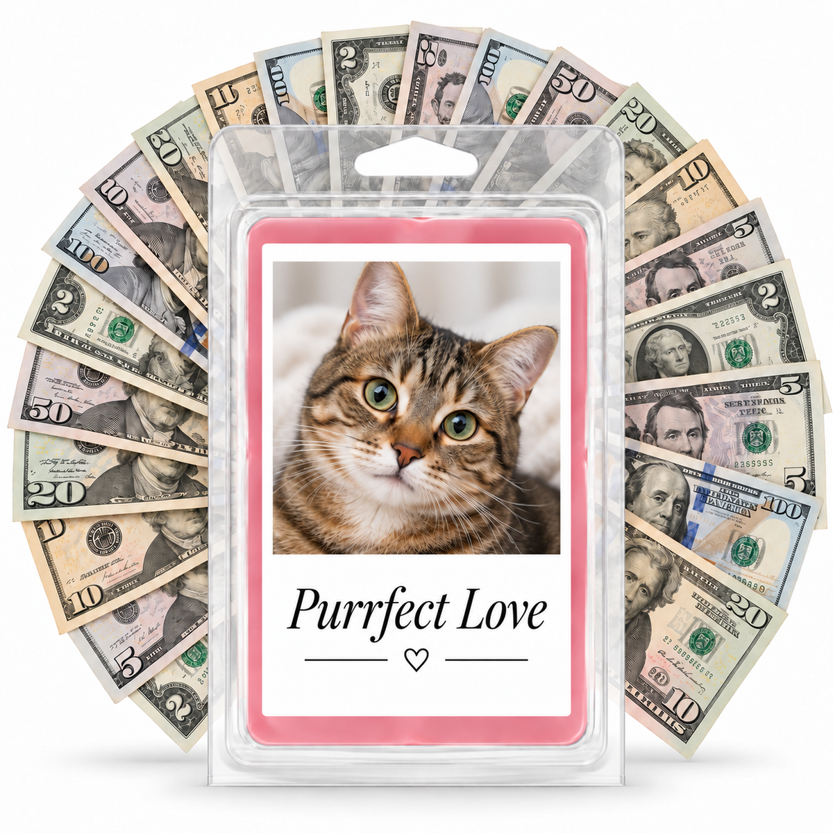 Photo cash wax melt cat personalization example with mixed dollar bill fan