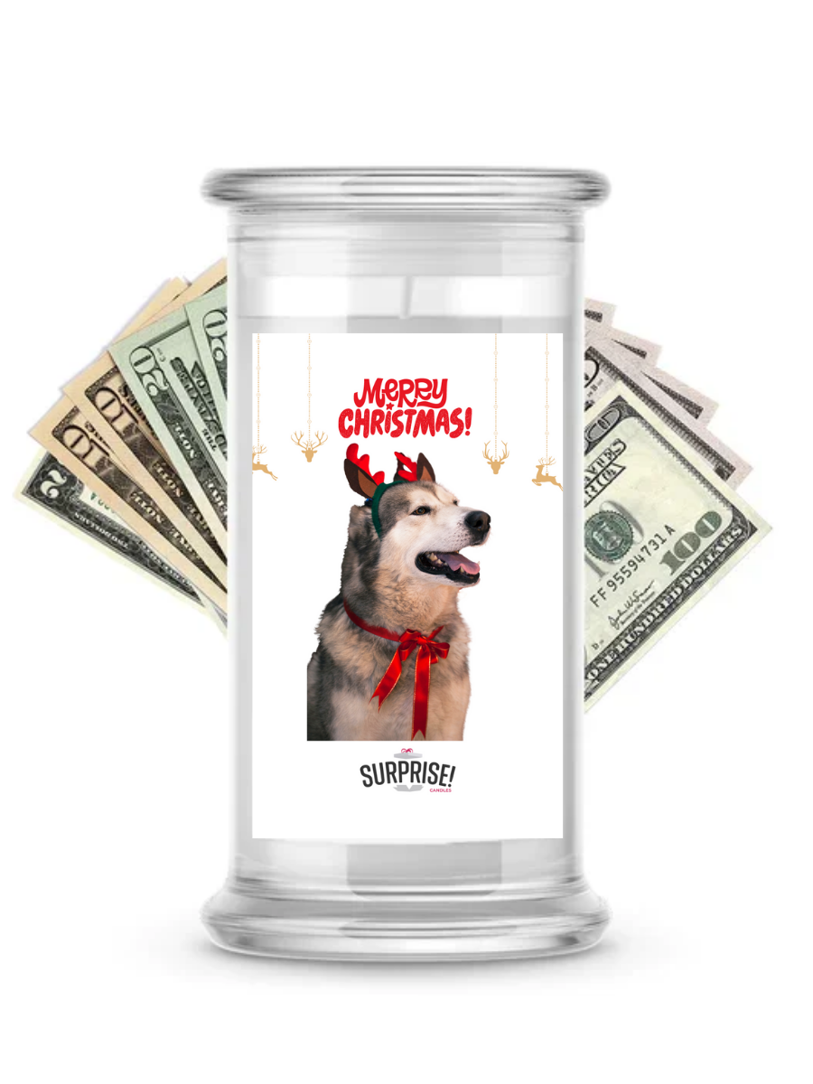 Merry Christmas Dog 6 | Christmas Surprise Cash Candles