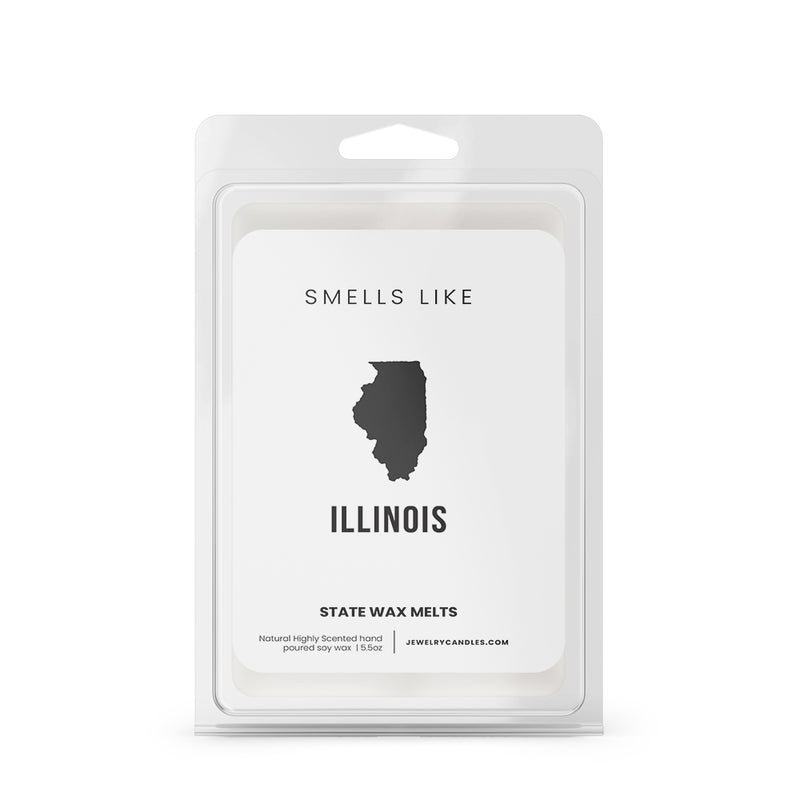 Smells Like Illinois State Wax Melts