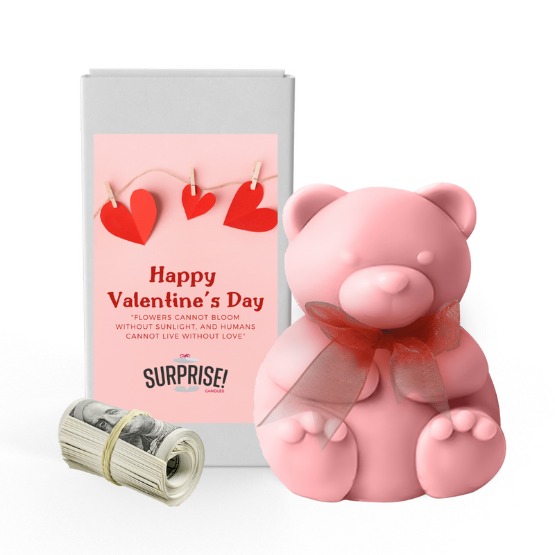 Happy Valentine's Day 3 | Valentines Day Surprise Cash Money Bear Wax Melts