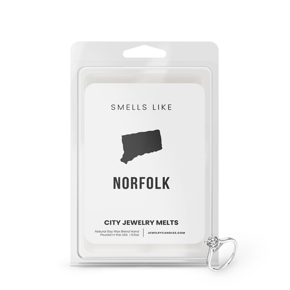 Smells Like Norfolk City Jewelry Wax Melts