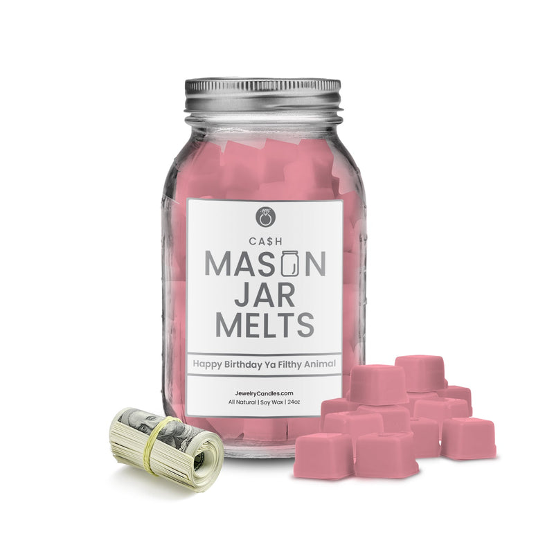 Happy birthday ya filthy animal | Mason Jar Cash Wax Melts