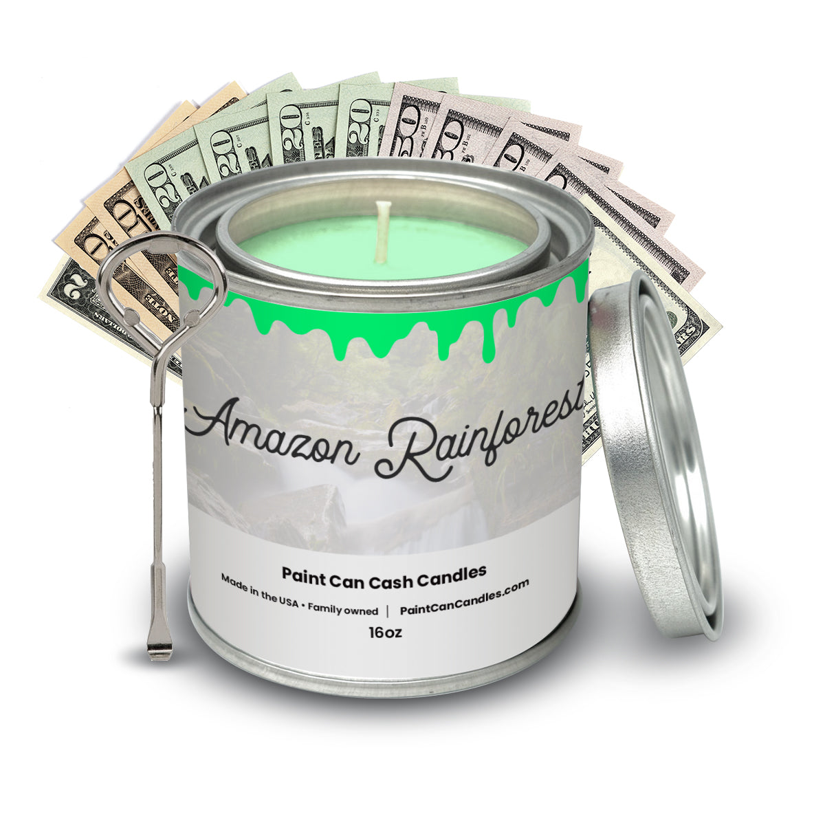 Amazon Rainforest - Paint Can Cash Candles