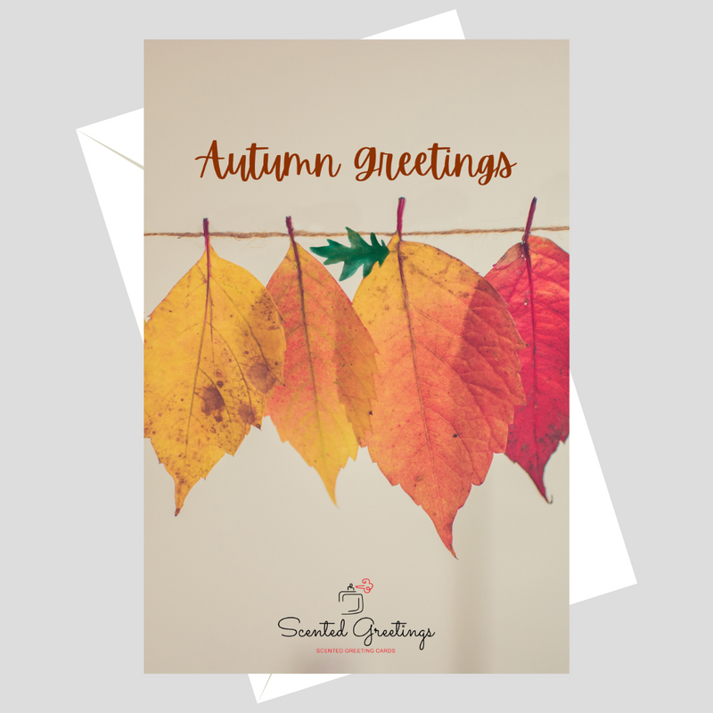 Autumn Greetings | Scented Greeting Cards