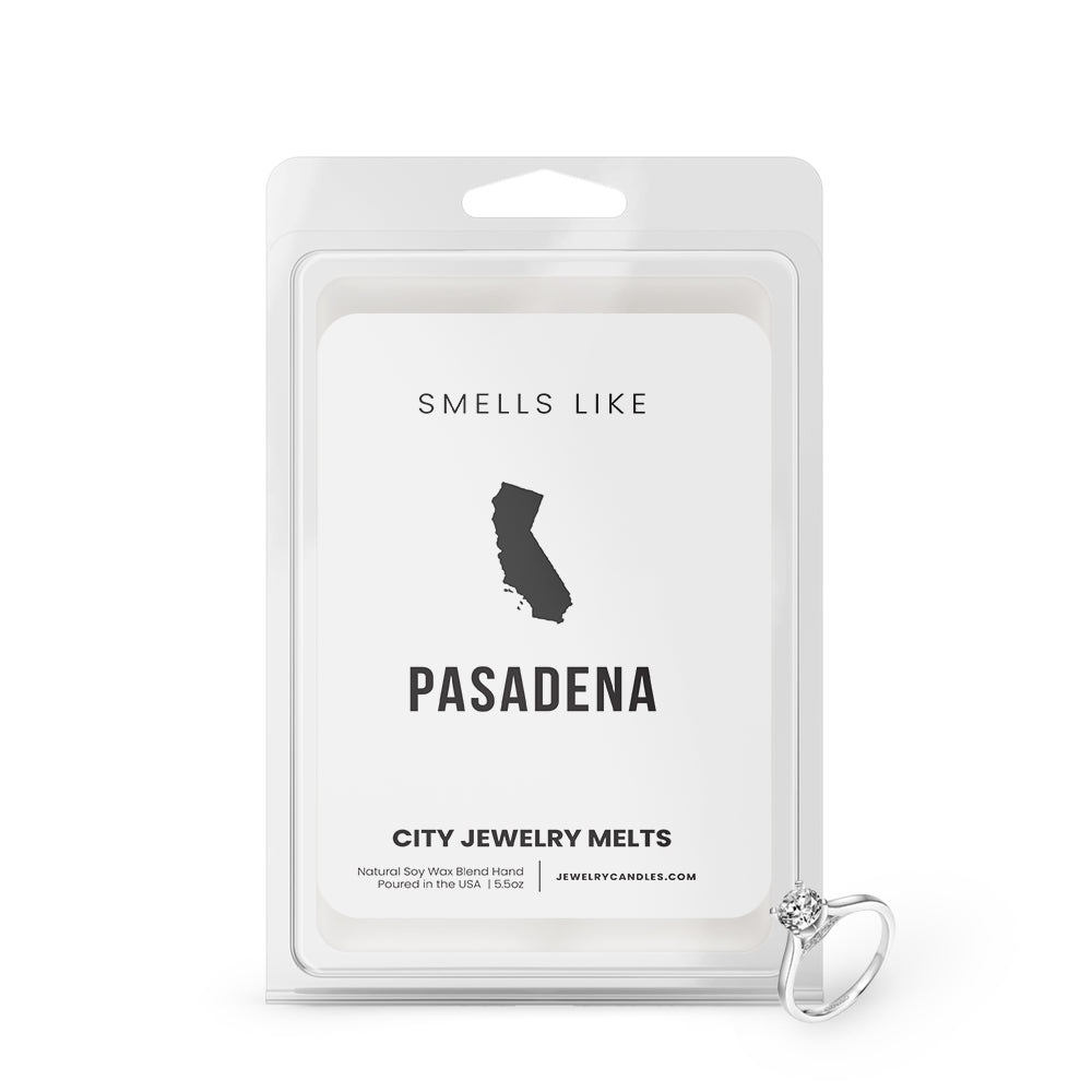 Smells Like Paterson City Jewelry Wax Melts