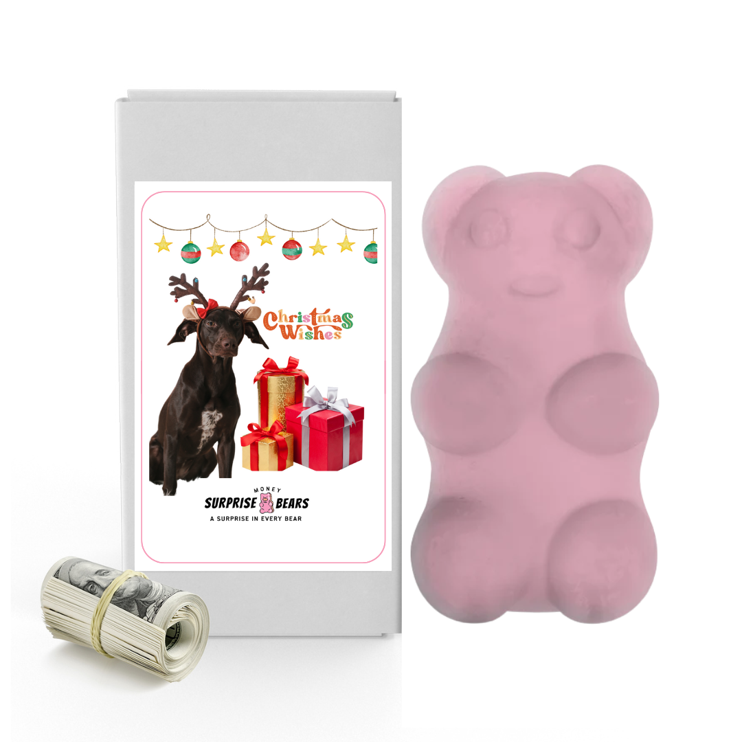 Christmas Wishes | Christmas Surprise Cash Bears
