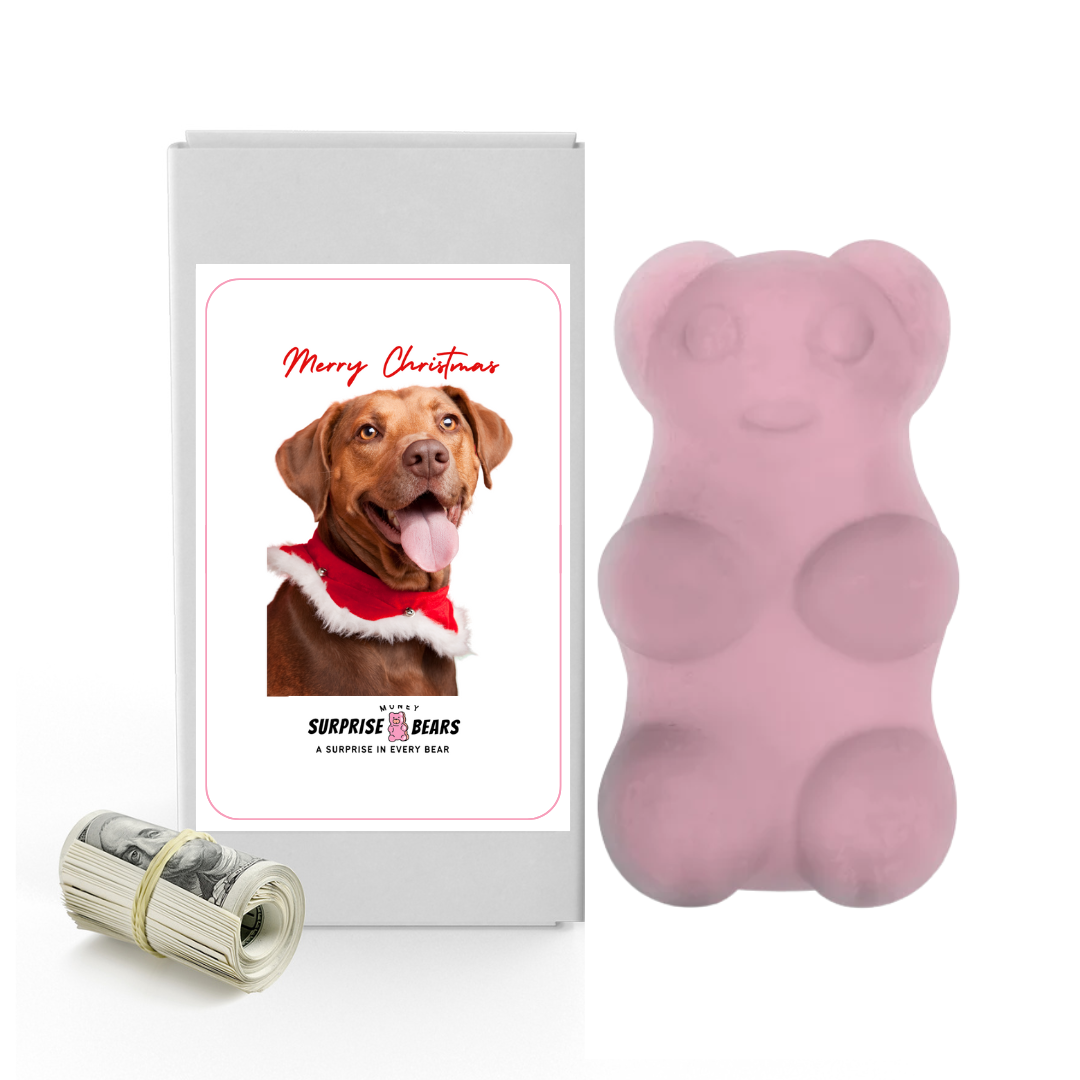 Merry Christmas Dog 10 | Christmas Surprise Cash Bears