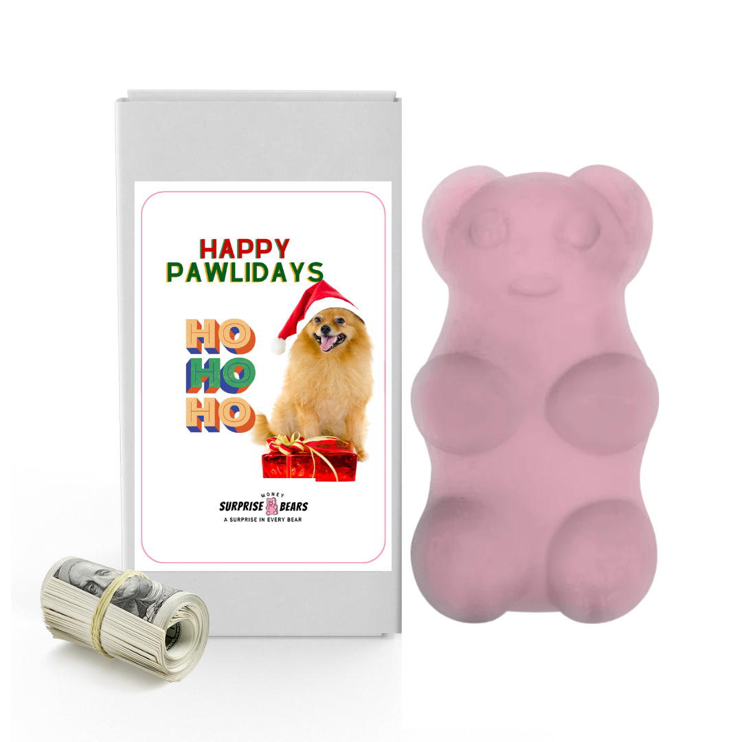 Happy Pawlidays HO HO HO | Christmas Surprise Cash Bears