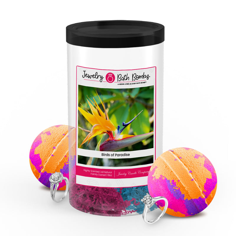 Birds of Paradise Jewelry Bath Bombs Twin Pack