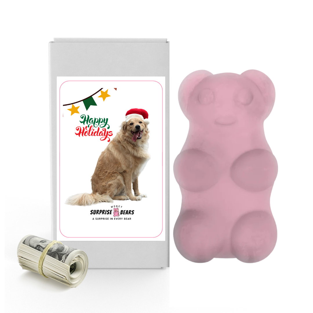 Happy Holidays | Christmas Surprise Cash Bears