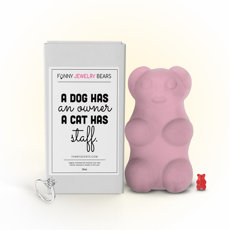 A Dog has an owner a cat has staff Funny Jewelry Bear Wax Melts
