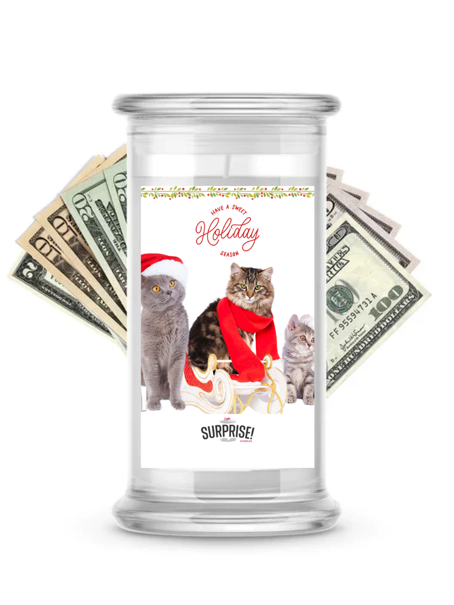 Have a Sweet Holiday Season | Christmas Surprise Cash Candles