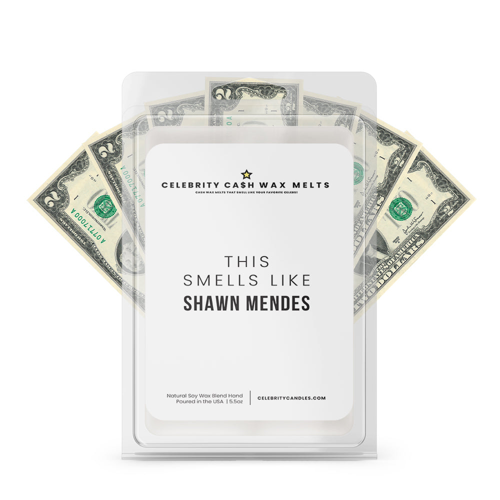 This Smells Like Shawn Mendes Celebrity Cash Wax Melts