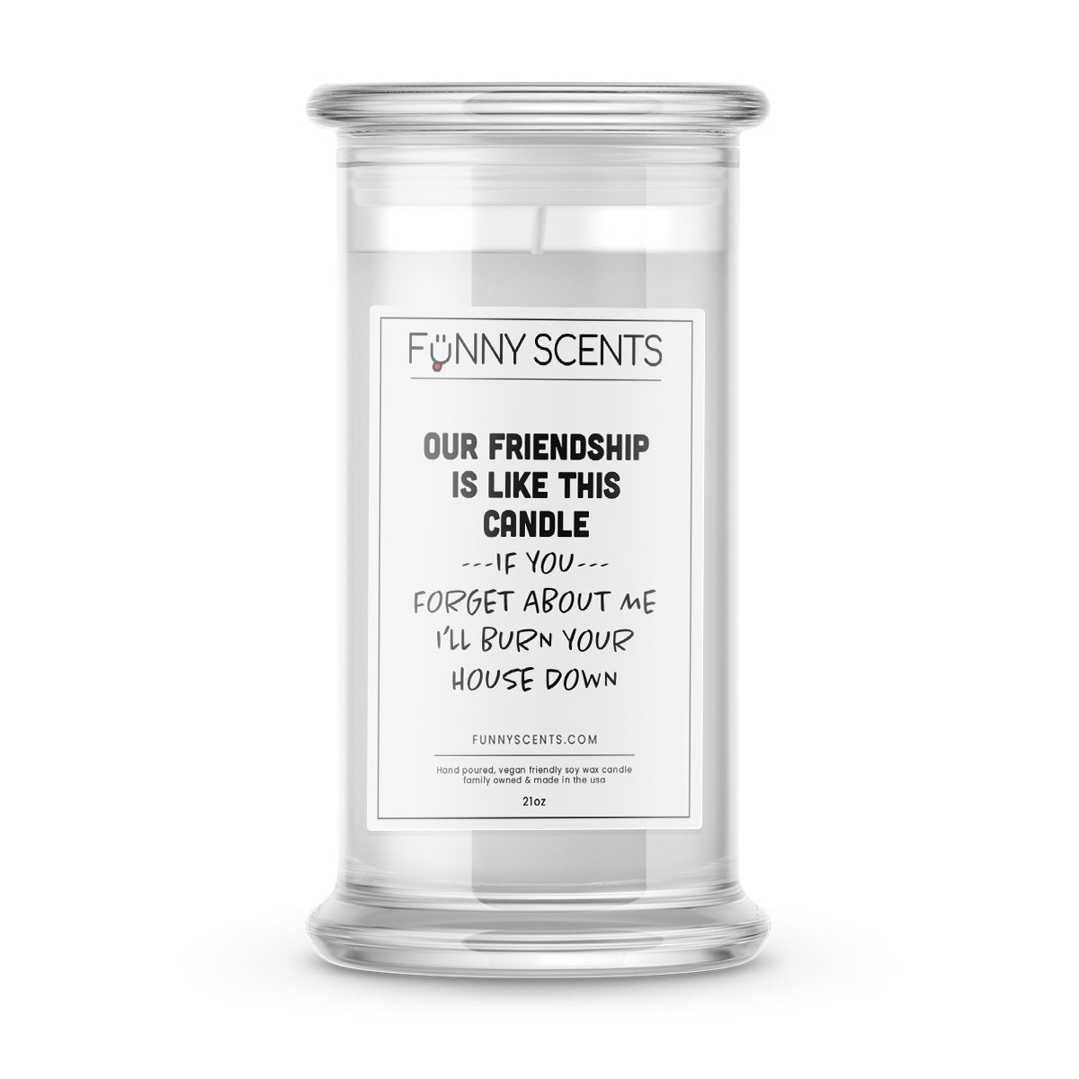 Our Friendship is Like The Candle If You Forget about me I'll burn your house down Funny Candles