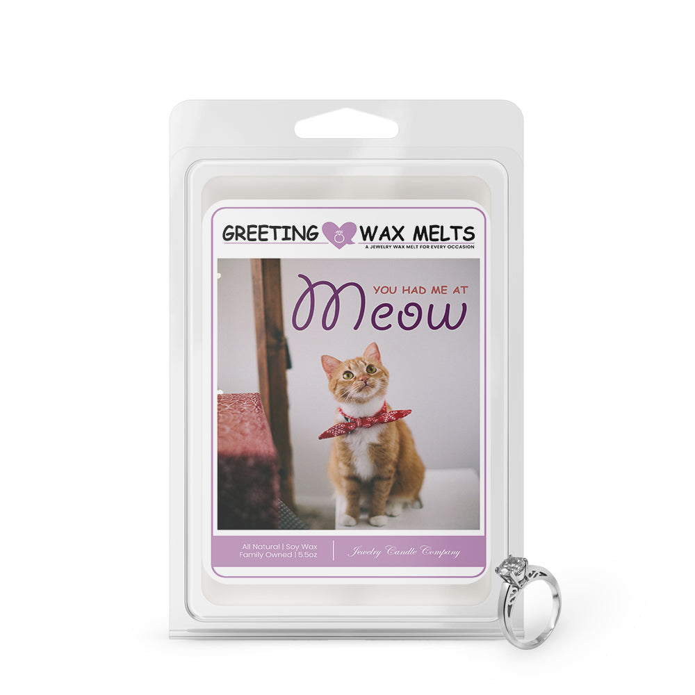 You had me at meow Greetings Wax Melt