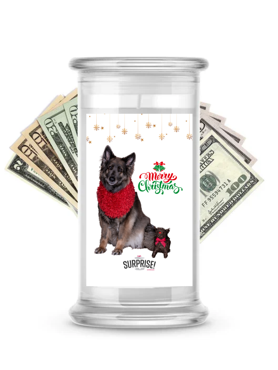 Merry Christmas Dog 2 | Christmas Surprise Cash Candles