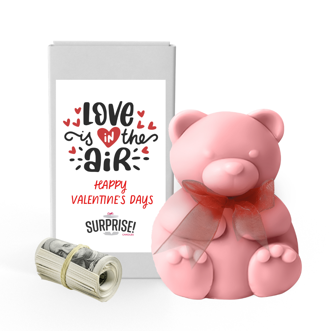 Love in the Air Happy Valentine's Day | Valentines Day Surprise Cash Money Bear Wax Melts