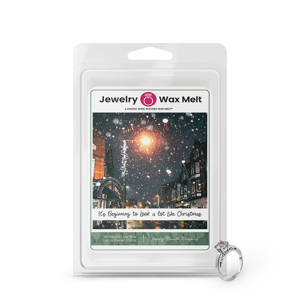 It's Begnning To Look A Lot Like Chrismas Jewelry Wax Melt