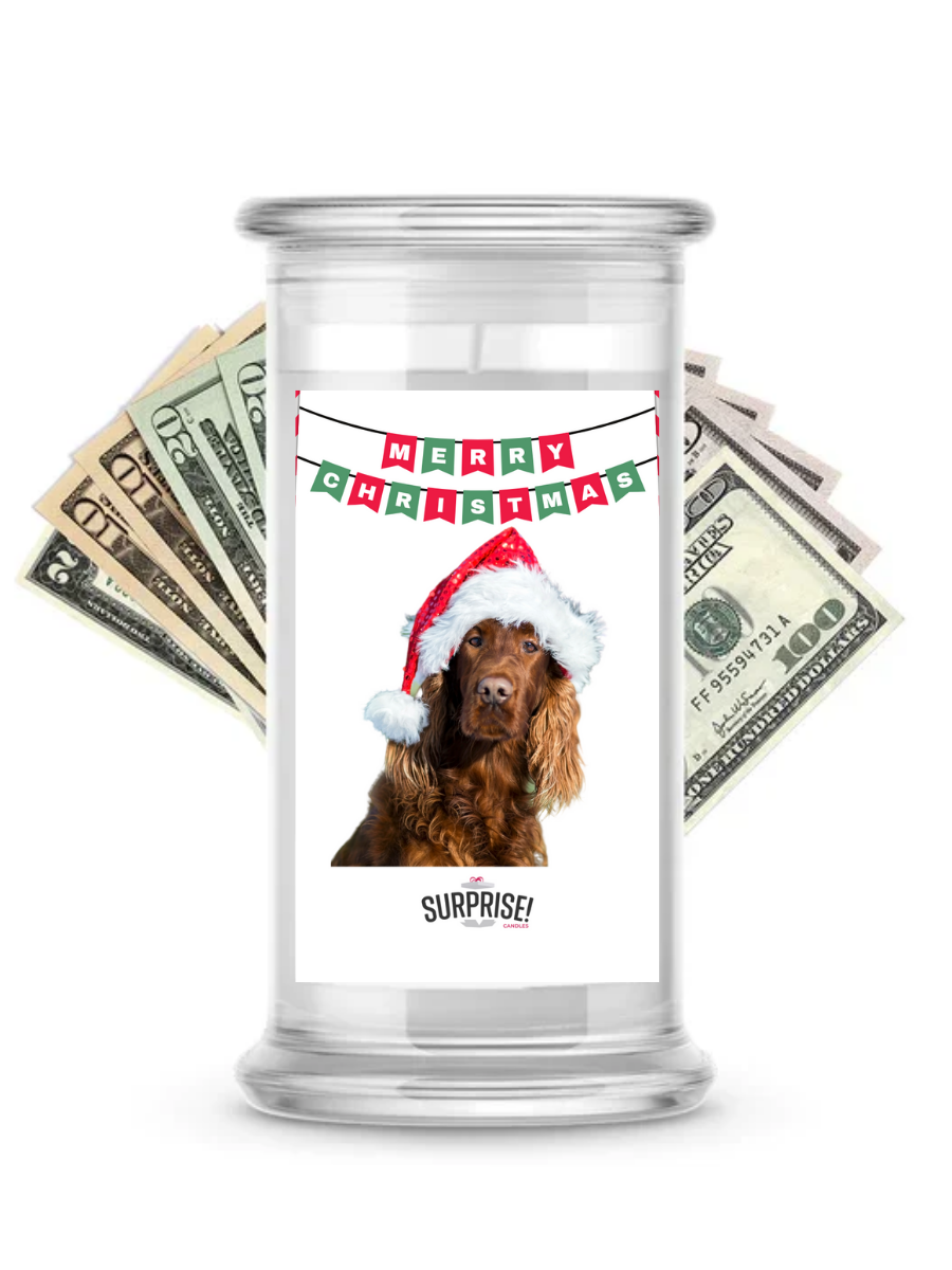 Merry Christmas Dog 3 | Christmas Surprise Cash Candles