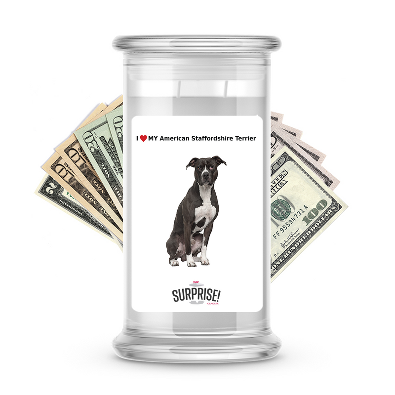 I ❤️ My American Staffordshire terrier | Dog Surprise Cash Candles