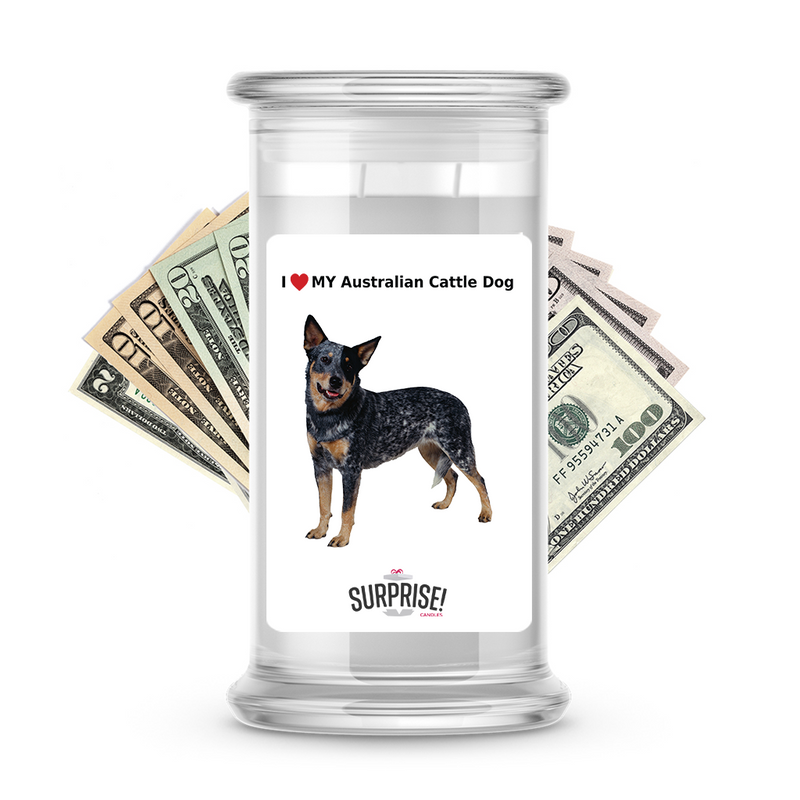 I ❤️ My Australian cattle dog | Dog Surprise Cash Candles