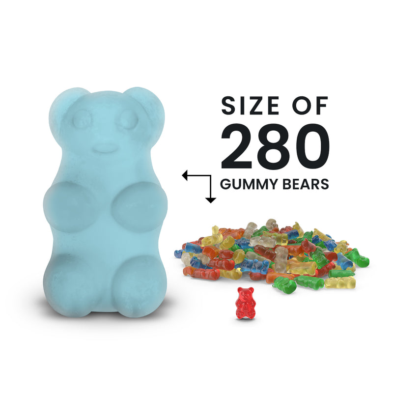 Wine Country GIANT Jewelry Surprise Bear