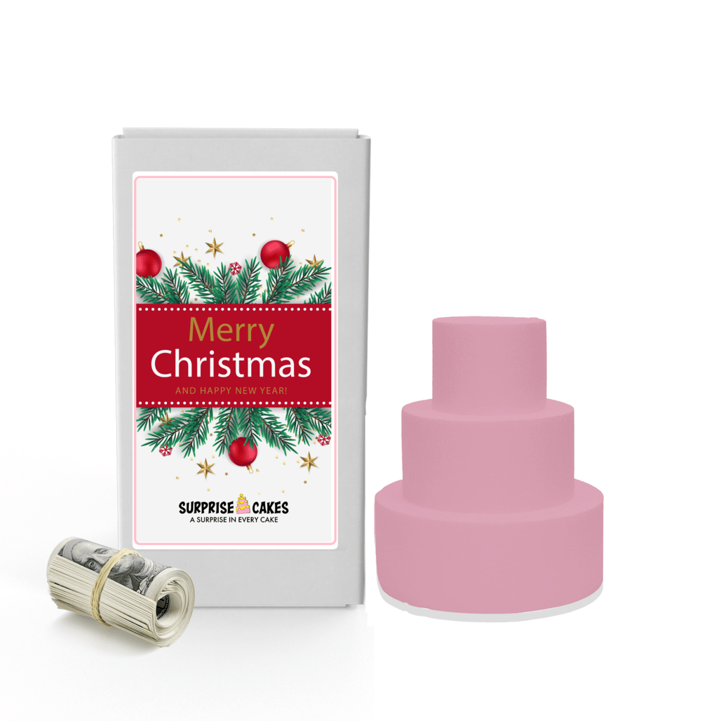 Merry Christmas and Happy New Year 5 | Christmas Surprise Cash Cakes