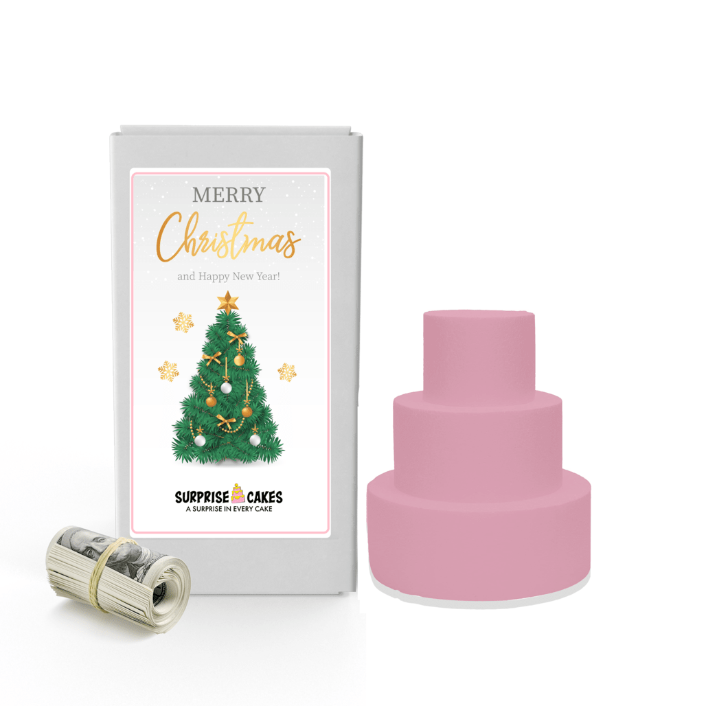 Merry Christmas and Happy New Year 6 | Christmas Surprise Cash Cakes