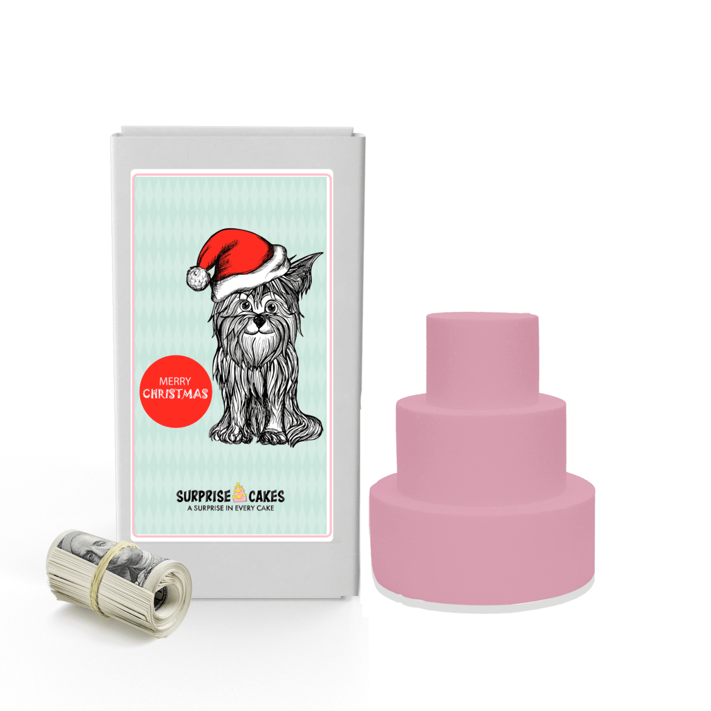 Merry Christmas 35 | Christmas Surprise Cash Cakes