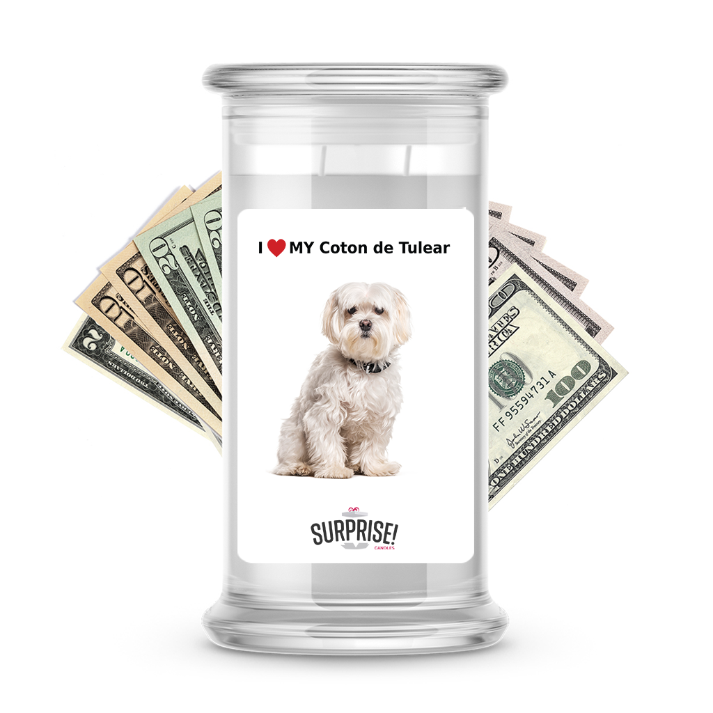 I ❤️ My Coton de Tulear | Dog Surprise Cash Candles