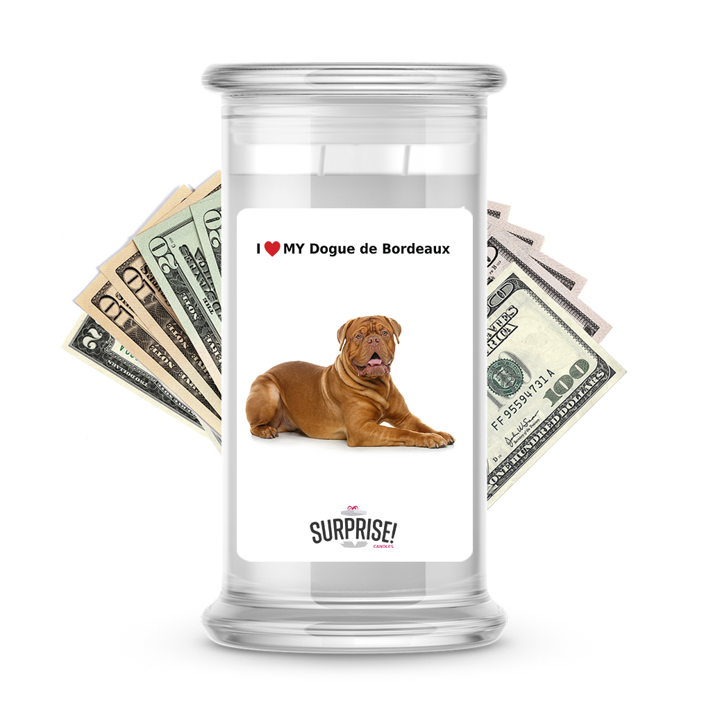 I ❤️ My Dogue de Bordeaux | Dog Surprise Cash Candles