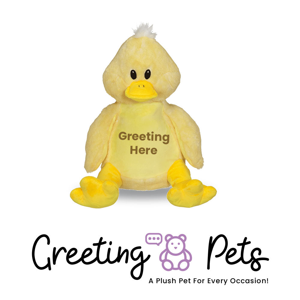 Duck Greeting Pet
