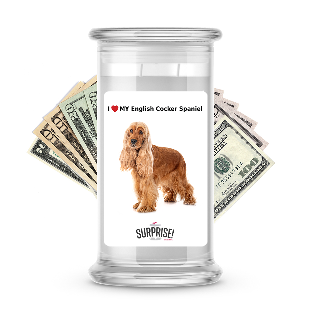I ❤️ My English cocker spaniel | Dog Surprise Cash Candles