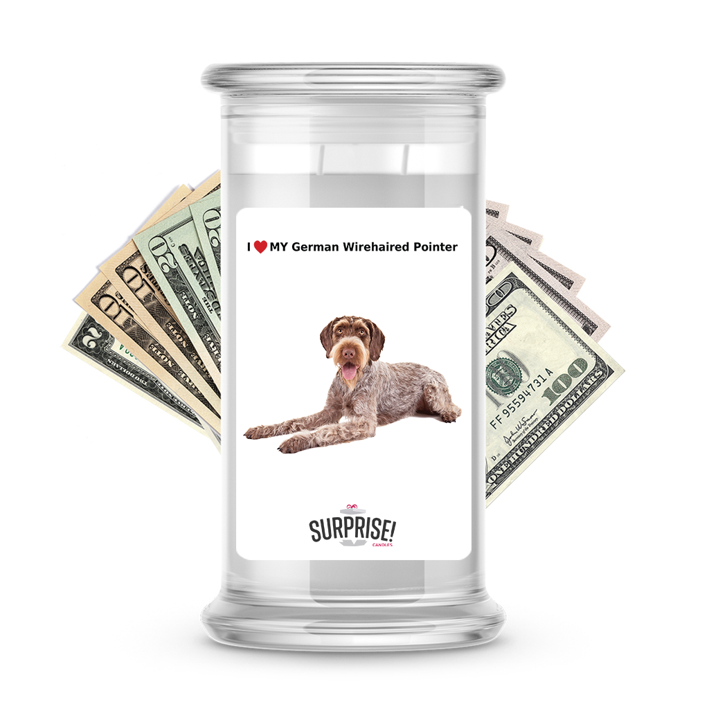 I ❤️ My German wirehaired pointer | Dog Surprise Cash Candles