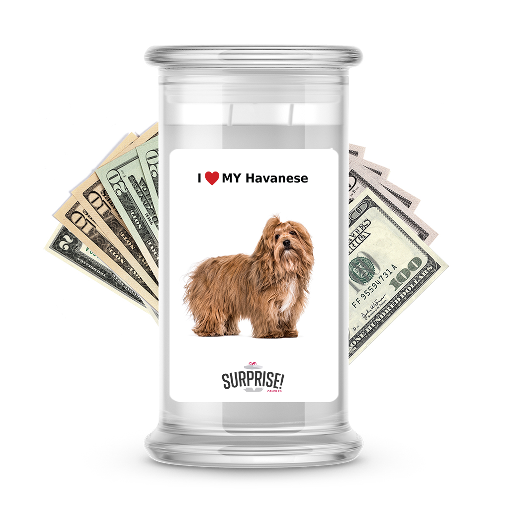 I ❤️ My Havanese | Dog Surprise Cash Candles