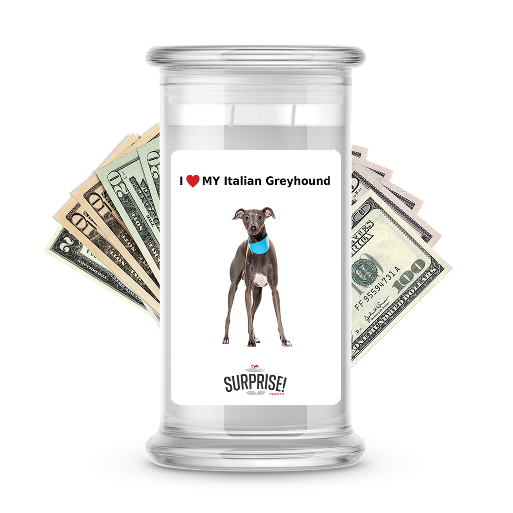 I ❤️ My Italian greyhound | Dog Surprise Cash Candles