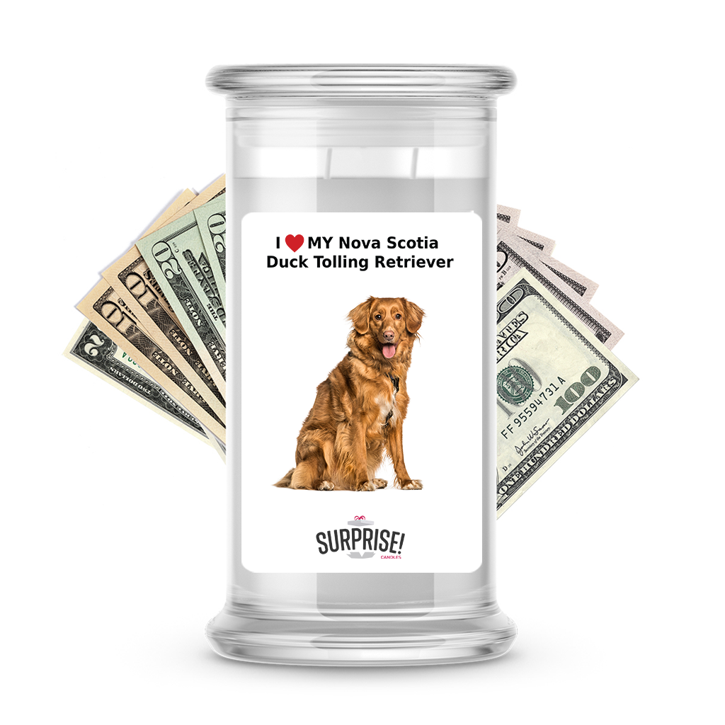 I ❤️ My Nova Scotia duck tolling retriever | Dog Surprise Cash Candles
