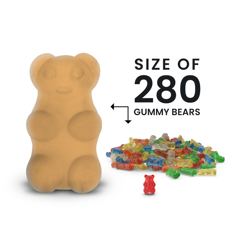 Jamaican Me Crazy GIANT Jewelry Surprise Bear