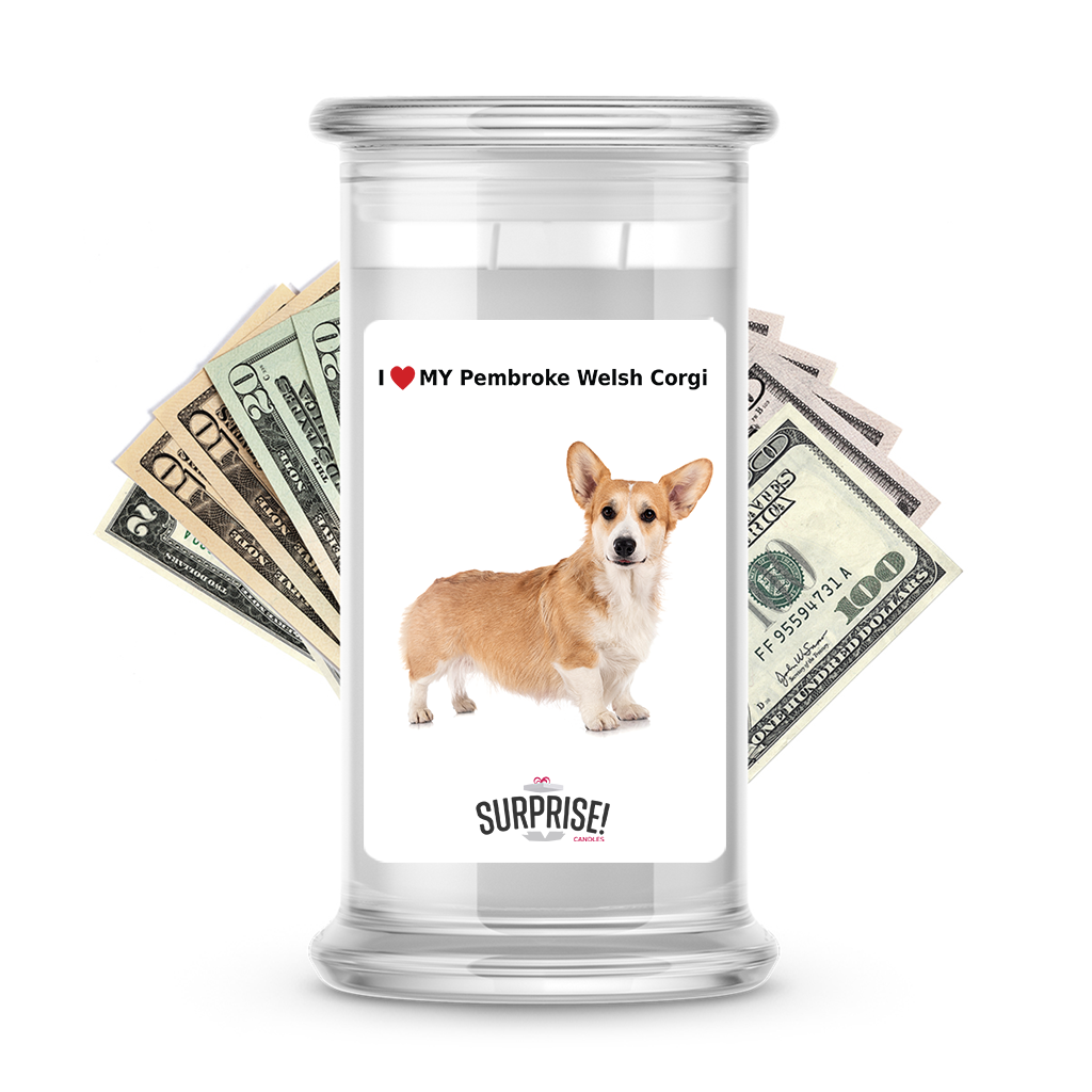 I ❤️ My Pembroke Welsh corgi | Dog Surprise Cash Candles