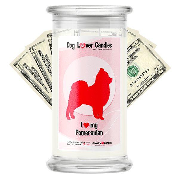 Pomeranian Dog Lover Cash Candle